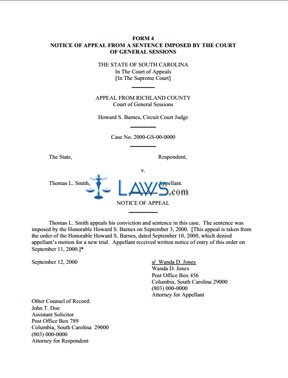 Form 4 - Notice of Appeal from a Sentence Imposed by the Court of General Sessions