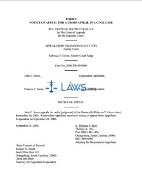 Form 2 - Notice of Appeal for a Cross Appeal in a Civil Case