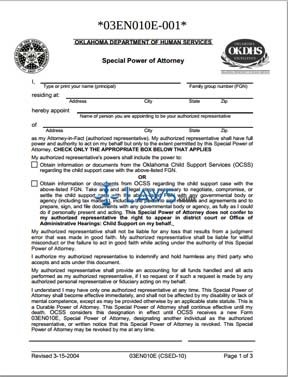 Special Power of Attorney-Authorized Representative (Form 03EN010E)