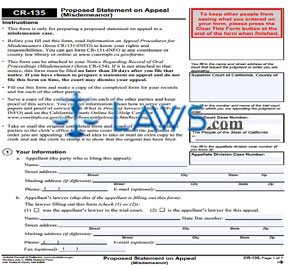 Proposed Statement on Appeal (Misdemeanor)