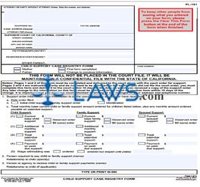 Child Support Case Registry Form