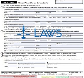 Other Plaintiffs or Defendants (Small Claims)