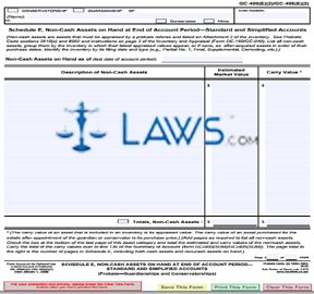 Non-Cash Assets on Hand at End of Account Period —Standard and Simplified Accounts