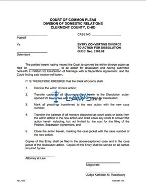 Form DR-111 Entry Converting Divorce to Action for Dissolution
