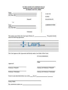 Form Instructions to File an Agreed Entry