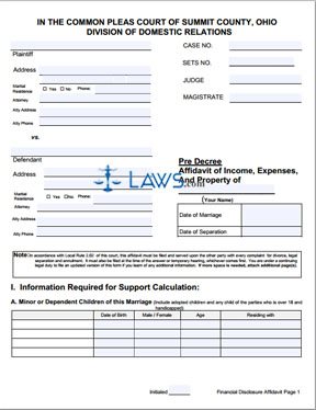 Form Pre Decree Affidavit of Income, Expenses, and Property