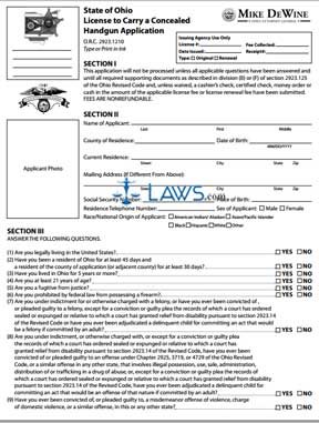Form License to Carry a Concealed Handgun Application