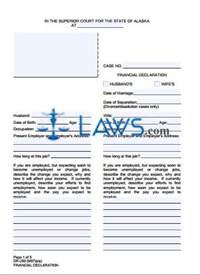 Form DR-250 Financial Declaration 