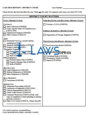 Case Description Form District Court 