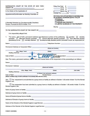 Form CSMD-1 Petition for Appointment-Confirmation of Standby Guardian