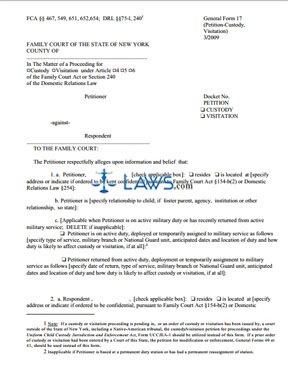 Form General Form 17 Petition Custody Visitation