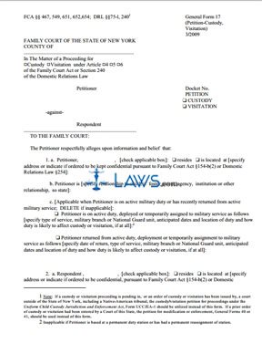 Form 17 - Petition for Custody or Visitation