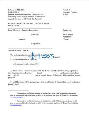Form 5-1 Paternity Petition (parent)