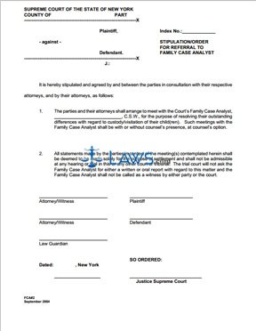 Stipulation/Order for Referral to Family Case Analyst (custody/visitation) 