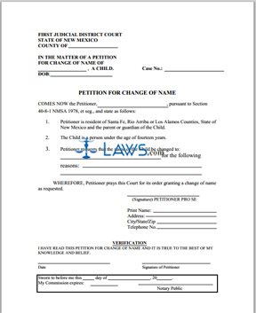 Form Name Change Packet (for Minor)