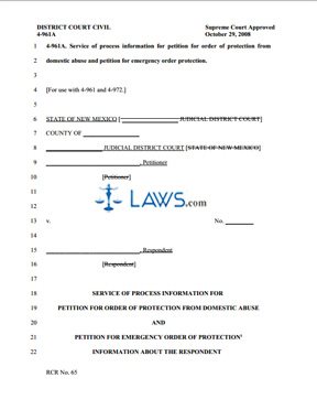 Form 4-961A Service of Process Information for Petition for Order of Protection From