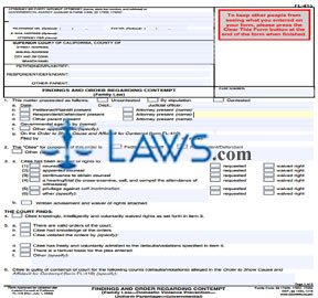 Order Concerning Appellant's Proposed Statement on Appeal (Misdemeanor)
