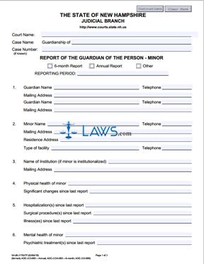 Report of the Guardian of the Person – Minor