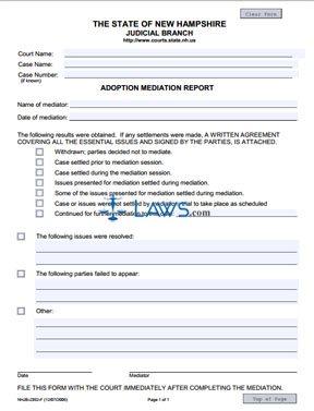 Adoption Mediation Report