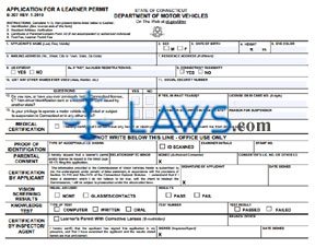 Form B-307 Application for a Learner's Permit