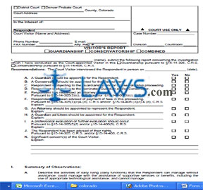 Court Visitor's Report