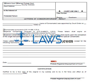 Letters of Conservatorship - Adult