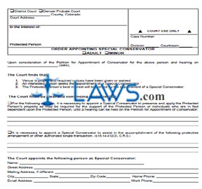 Order Appointing Special Conservator - Adult or Minor