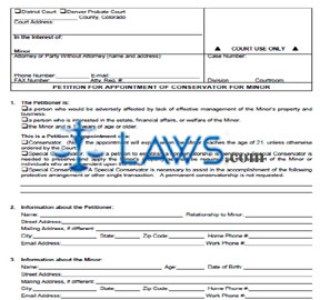 Petition for Appointment of Conservator - Minor