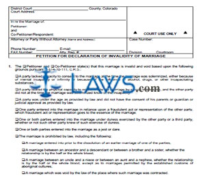 Petition for Declaration of Invalidity of Marriage (Please file with JDF 1000)