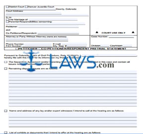 Petitioner/Co-Petitioner/Respondent Pre-Trial Statement